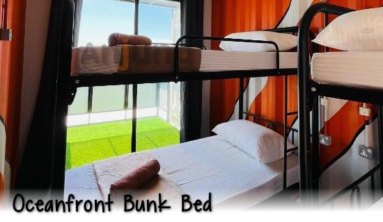 nemo ocean front bunk bed